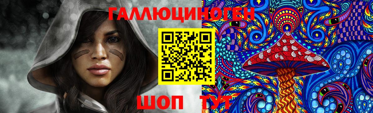 Псилоцибиновые грибы GOLDEN TEACHER  купить наркотик  Кызыл  Вход с VPN  Галлюциногенные грибы GOLDEN TEACHER 