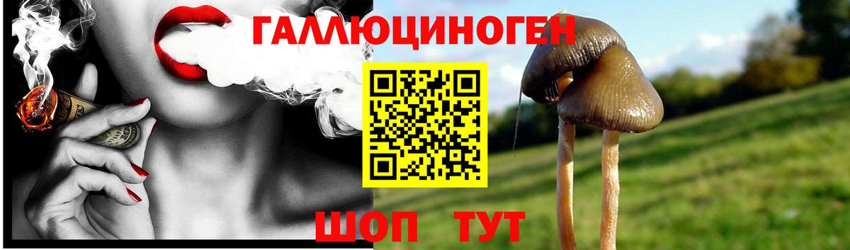 Псилоцибиновые грибы MAGIC MUSHROOMS Кызыл