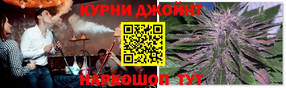 Каннабис планчик  Вход с VPN  Бошки марихуана Bruce Banner  Кызыл  МАРИХУАНА семена  Каннабис тримм 